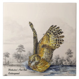 Azulejo Majestuosa búho de Blakiston en peligro de extinci