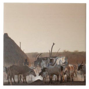 Azulejo Malakal, pueblo del grupo étnico Dinka