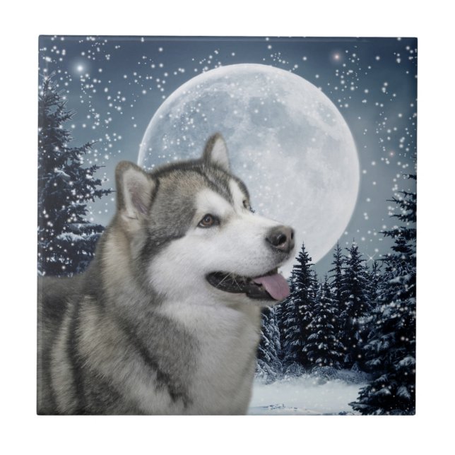 Azulejo Malamute Ceramic Tile (Frente)