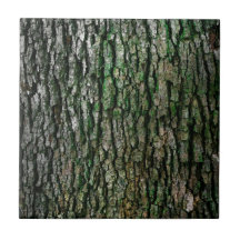 Maletero de árbol (corteza de madera)