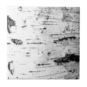 Azulejo Maletero de Birch