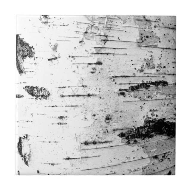 Azulejo Maletero de Birch (Frente)