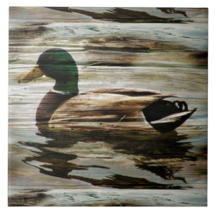 Azulejo Mallard Duck