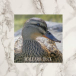Azulejo Mallard Duck Hen Photo Ceramic Tile<br><div class="desc">Baldosas de cerámica de temática natural con la foto de vida salvaje de una gallina de pato mallard. Seleccione su tamaño de mosaico. ¡Hace un gran trivet de cocina!</div>