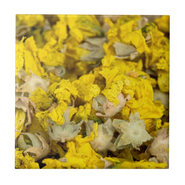 Azulejo Mallow de Marsh  (Frente)