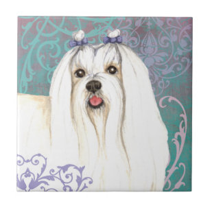 Azulejo Maltés elegante