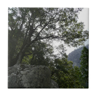 Azulejo Mañana en el sendero hacia Vernal Falls en Yosemit