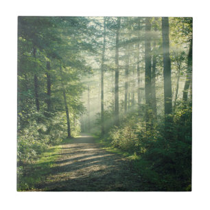 Azulejo Mañana soleada de octubre en Hamburgo