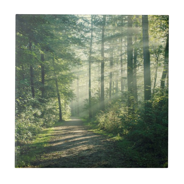 Azulejo Mañana soleada de octubre en Hamburgo (Frente)