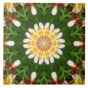 Azulejo Mandalas de flores de Plumeria con simetría tropic