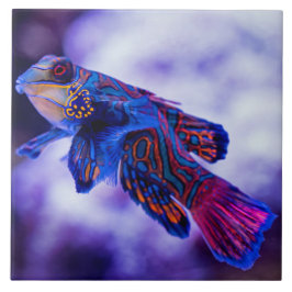 Azulejo Mandarin Goby Fish Ceramic Tile
