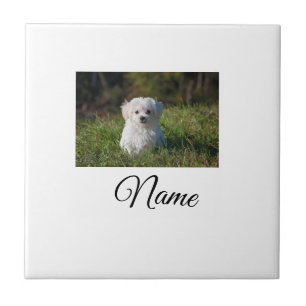 Azulejo Manta personalizada con foto de animal colorido si
