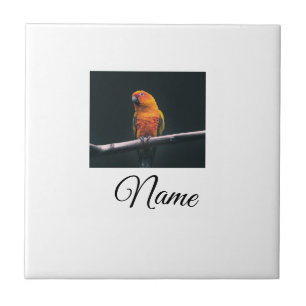 Azulejo Manta personalizada con foto y nombre de animal co