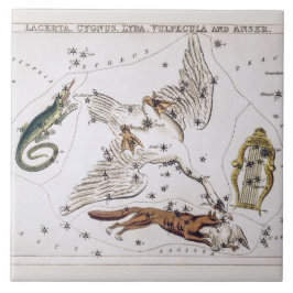 Azulejo Mapa Astronómico Antiguo de Lacerta, Cygnus, Lyra