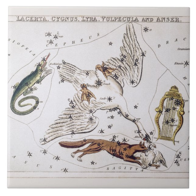 Azulejo Mapa Astronómico Antiguo de Lacerta, Cygnus, Lyra (Frente)