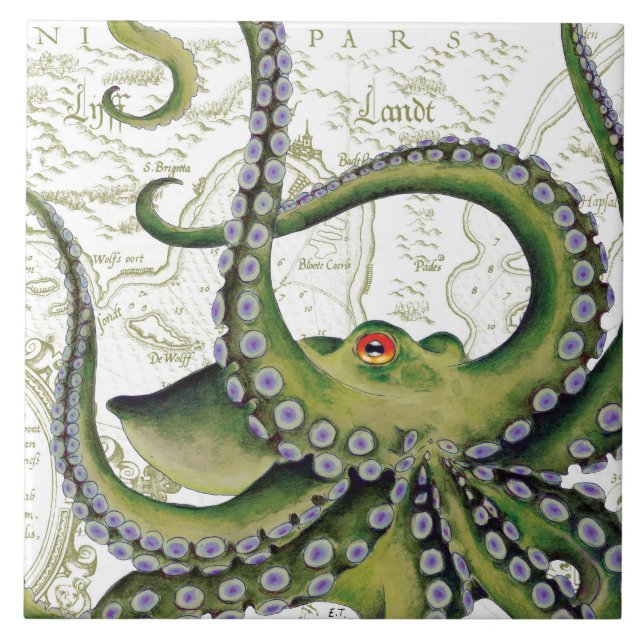 Azulejo Mapa de cosecha del pulpo verde blanco (Frente)