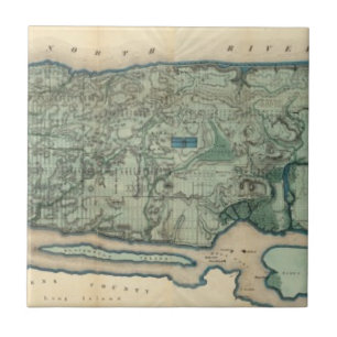 Azulejo Mapa sanitario y topográfico de New York City