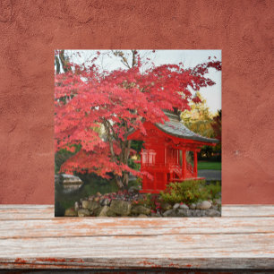 Azulejo Maple japonés rojo y santuario de jardines