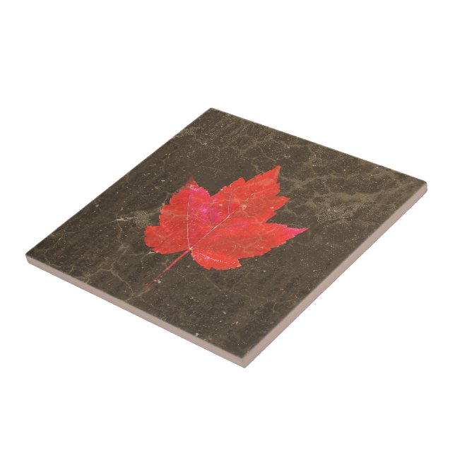 Azulejo Maple Leaf Red Brown Textura de campo otoñal (Lado)
