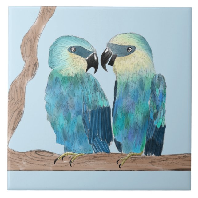 Azulejo Maquetas de Spix sobre una tela cerámica - (B) (Frente)