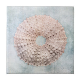 Azulejo Mar de playa en peligro de extinción con crema de 