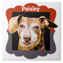 Marco fotográfico de patrón personalizado de Dachs