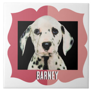 Azulejo Marco fotográfico de patrón personalizado de Dalma