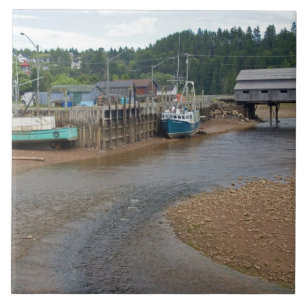 Azulejo Marea baja en la Bahía de Fundy en St. Martins, Nu