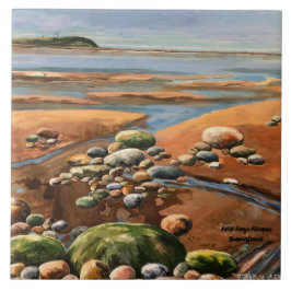 Azulejo Marea hacia fuera la escena del océano de playa en