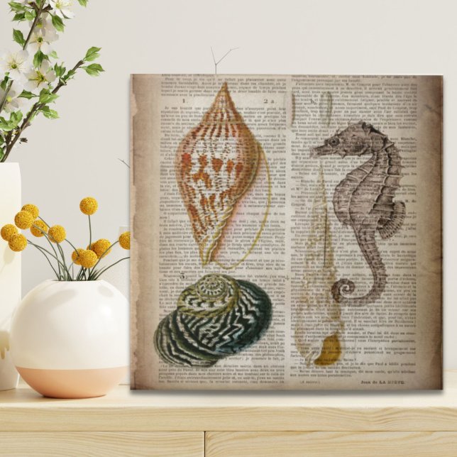 Azulejo marejadas botánicas de playa de diccionario impres (dictionary print french botanical beach seashells ceramic tile)