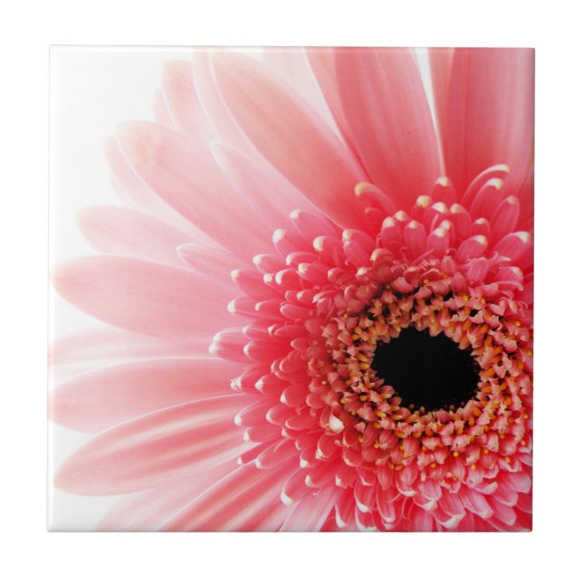 Azulejo Margarita Gerbera Rosa  (Frente)