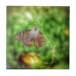 Azulejo Mariposa