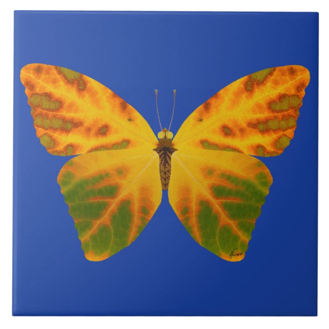 Azulejo Mariposa Aspen Leaf 1 (Frente)