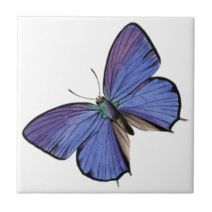 Azulejo Mariposa azul