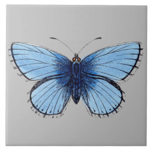 Azulejo - Mariposa Azul Gris Claro