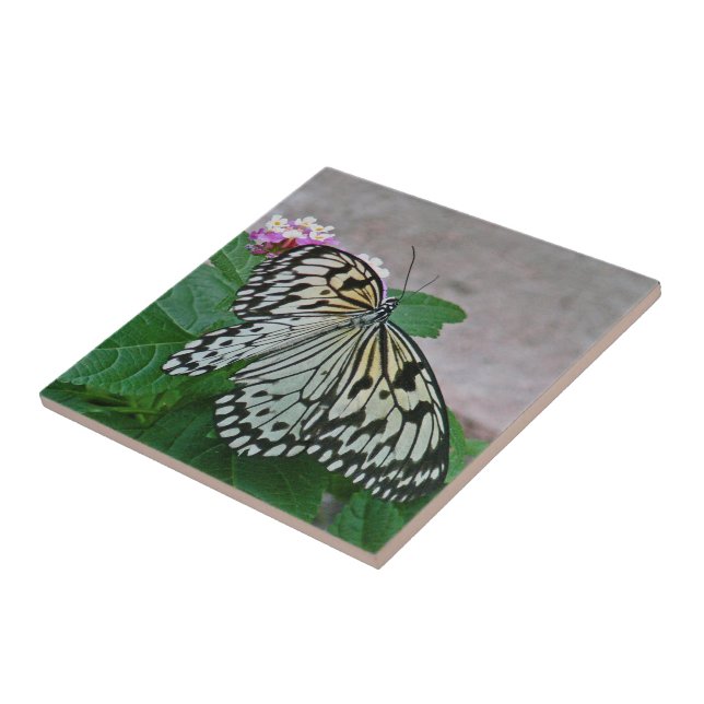 AZULEJO MARIPOSA BLANCA Y NEGRA (Lado)