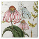 Azulejo Mariposa Botánica Flor silvestre rosa Fern Vintage<br><div class="desc">#3 de 5 opciones de mosaico de coordinación. La mariposa azul pálido de las diminutas montañas y una flor silvestre Echinacea rosa son el centro del escenario de este collage con ephemera de escritura de guiones e imágenes publicitarias antiguas sobre un suave fondo color crema y marfil texturado. Collage creado...</div>
