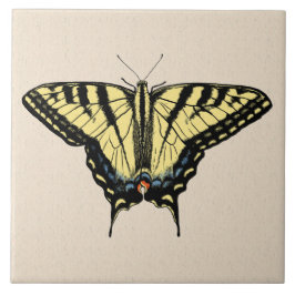 Azulejo Mariposa Cola de Golondrina Amarilla del Sudoeste