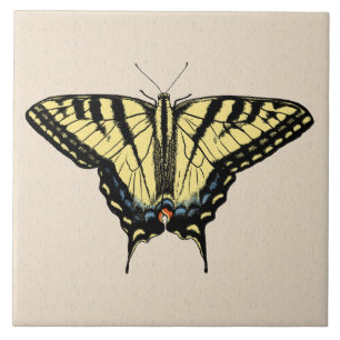 Azulejo Mariposa Cola de Golondrina Amarilla del Sudoeste