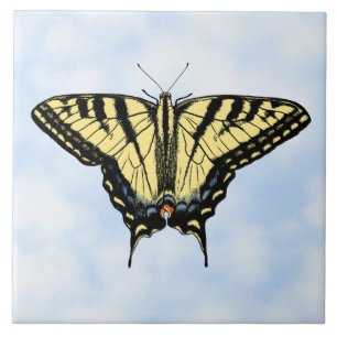 Azulejo Mariposa Cola de Golondrina Amarilla en Cielo Azul