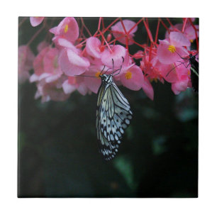 Azulejo Mariposa colgando de flores