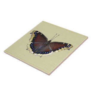 Azulejo Mariposa de capa de luto - Antiopa ninfalis