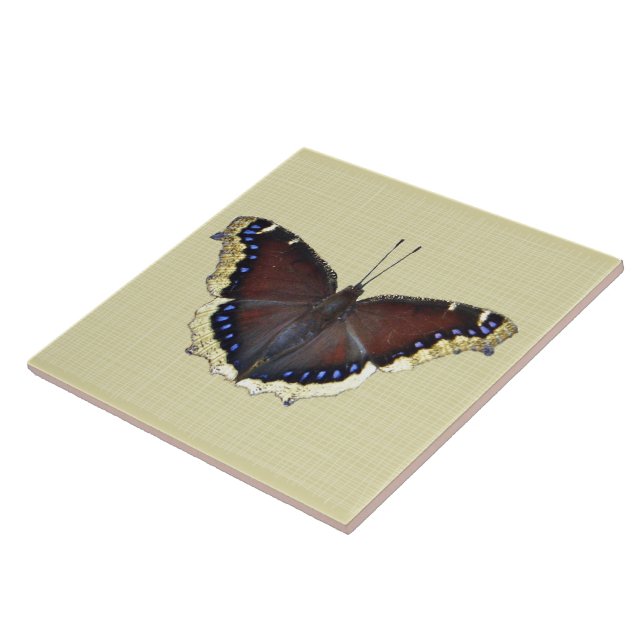 Azulejo Mariposa de capa de luto - Antiopa ninfalis (Lado)