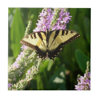 Azulejo Mariposa de cola cruda sobre flores silvestres mor