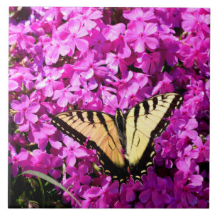 Azulejo Mariposa de cola torta en el lecho de la flor