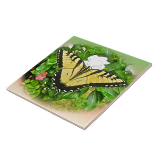 Azulejo Mariposa de cola tragada - Flores