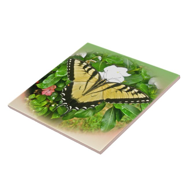 Azulejo Mariposa de cola tragada - Flores (Lado)