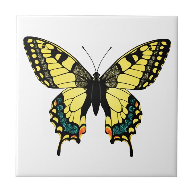 Azulejo mariposa de color vibrante (Frente)