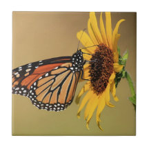 Mariposa de monarca en el girasol