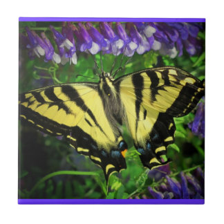 Azulejo Mariposa del tigre del vuelo